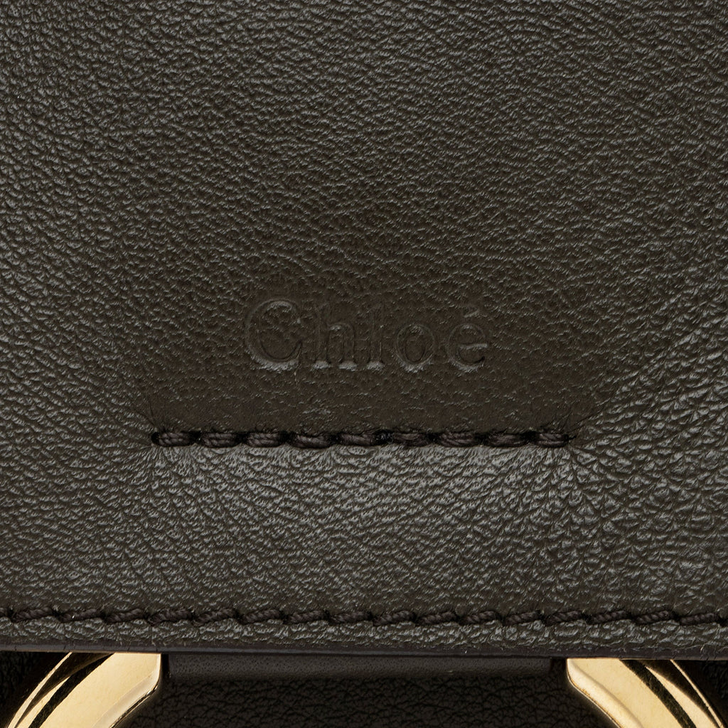 Chloe Calfskin Faye Day Medium Shoulder Bag (SHF-sr4xyz)