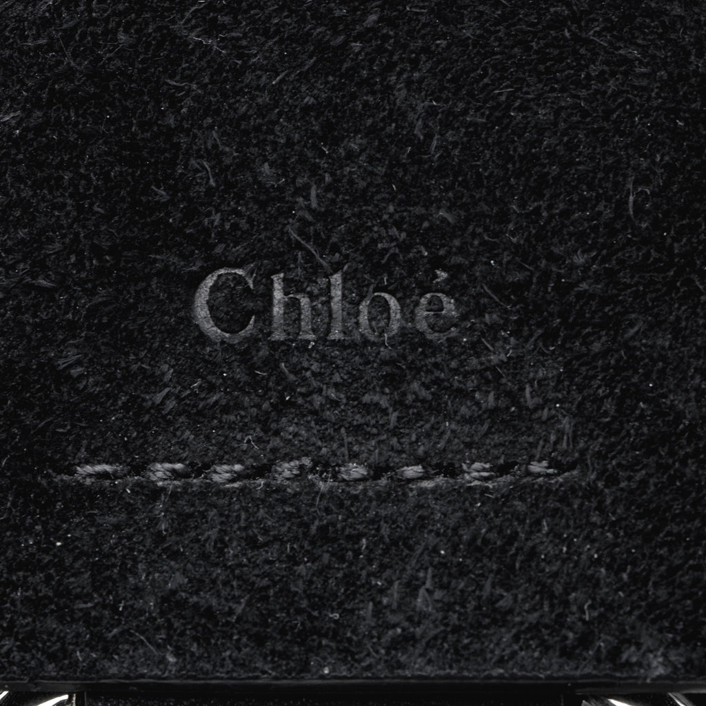 Chloe Calfskin Faye Small Backpack