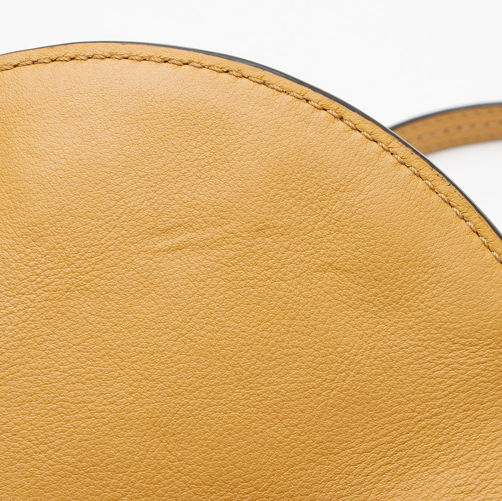 Chloe Calfskin Nile Minaudiere Small Bracelet Bag (SHF-urTPJ4)