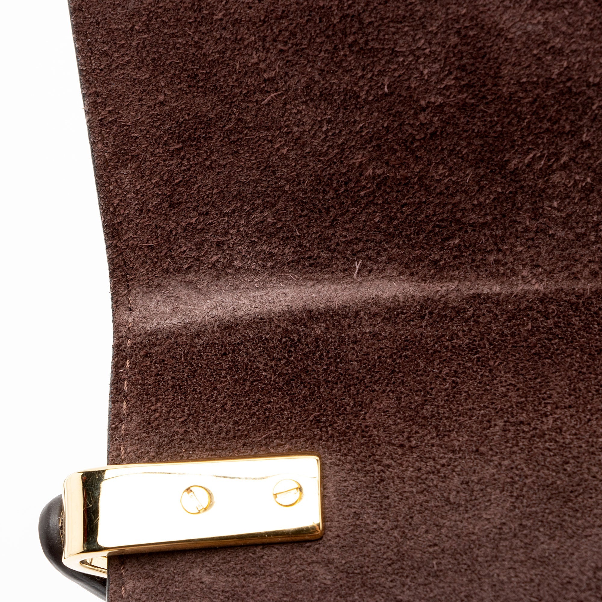 Chloe Shiny Calfskin Python Embossed Leather Mini C Bag