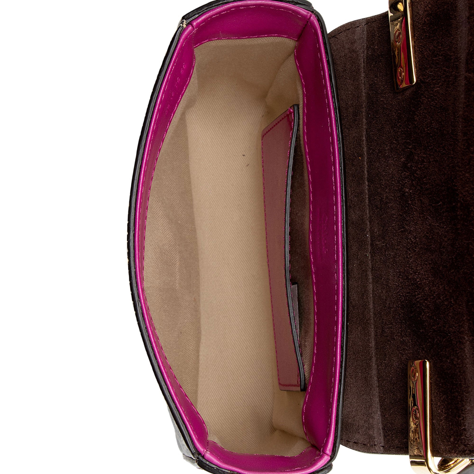 Chloe Shiny Calfskin Python Embossed Leather Mini C Bag