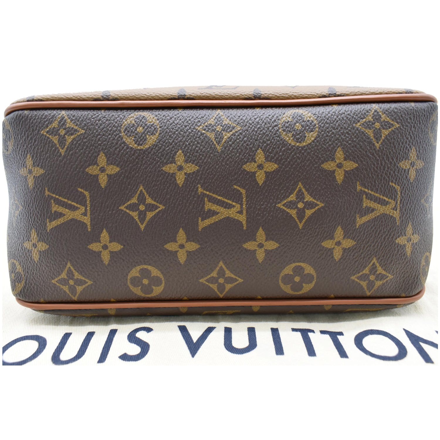 LOUIS VUITTON Dauphine PM Monogram Reverse Canvas Hobo Shoulder Bag Brown