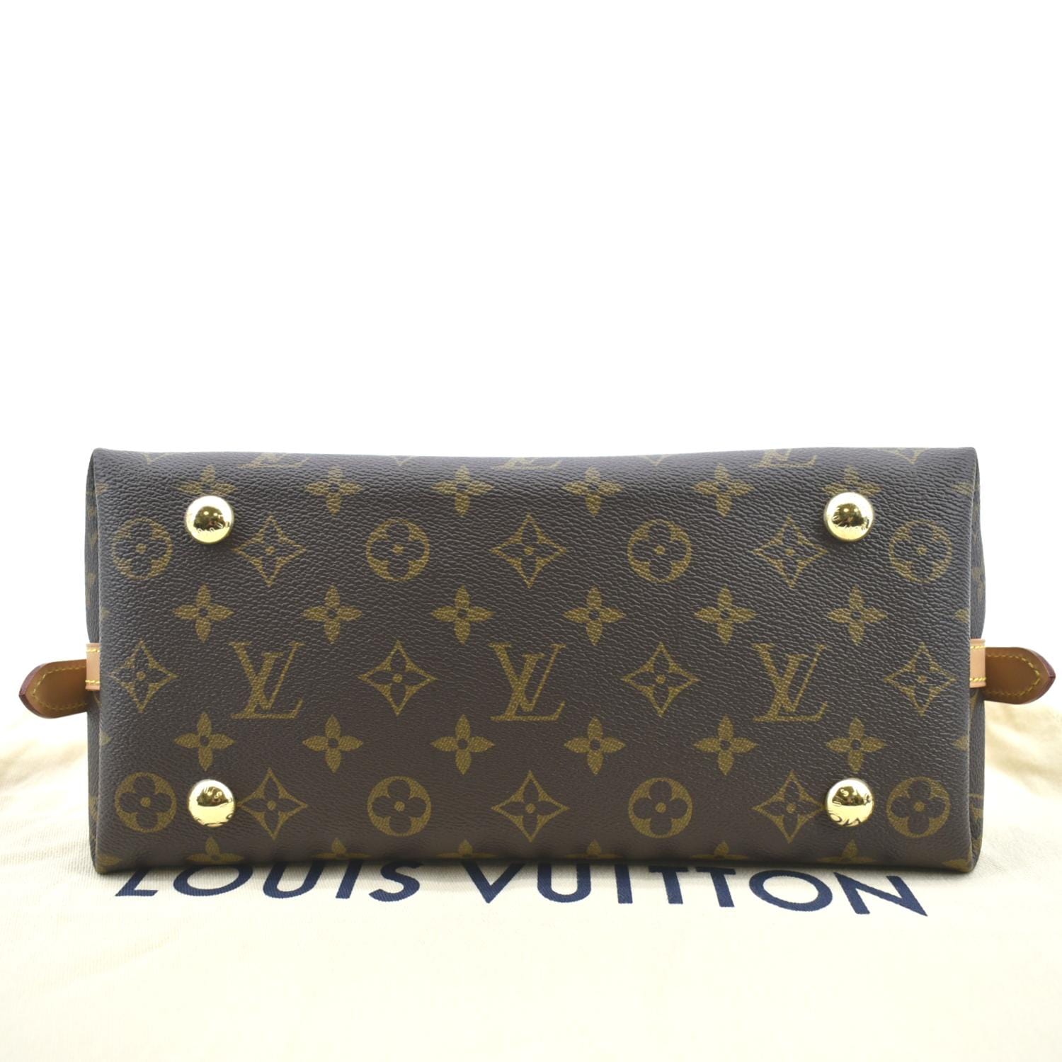 LOUIS VUITTON Carryall PM Monogram Canvas Shoulder Bag Brown