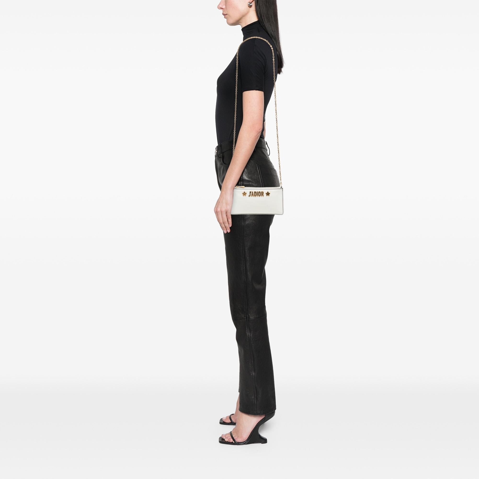 Dior Calfskin JAdior Croisiere Chain Pouch