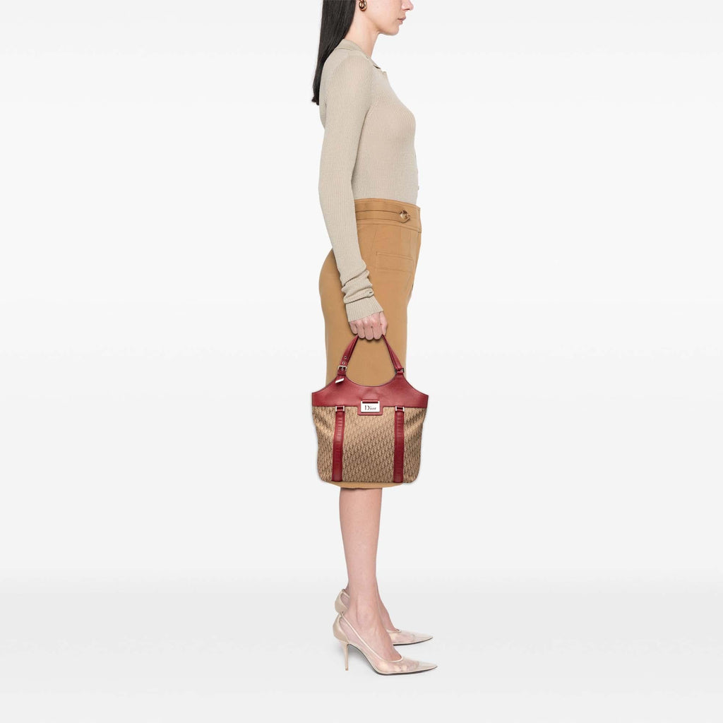 Dior Diorissimo Trotter Canvas Street Chic Tote