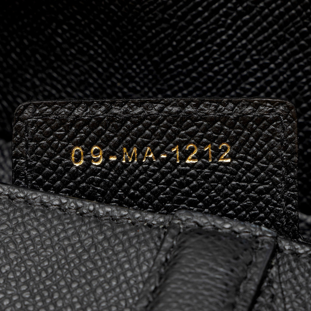 Dior Grained Calfskin Saddle Dual Strap Crossbody
