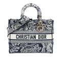 Dior Large Embroidered Canvas Toile de Jouy Lady D Lite