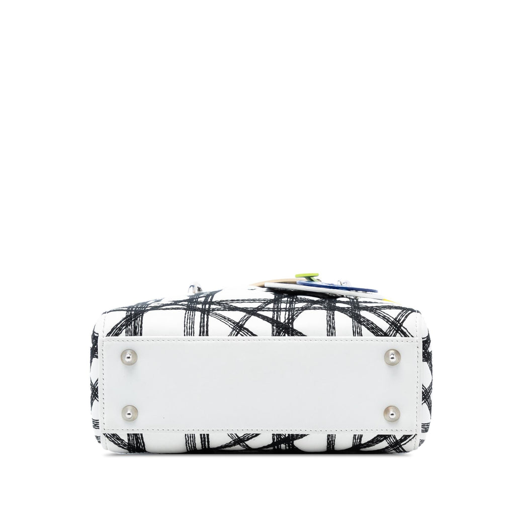 Dior Limited Edition Daniel Gordon Art Small Lambskin Cannage Lady Dior