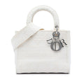 Dior Medium Embroidered Canvas Cannage Lady D Lite