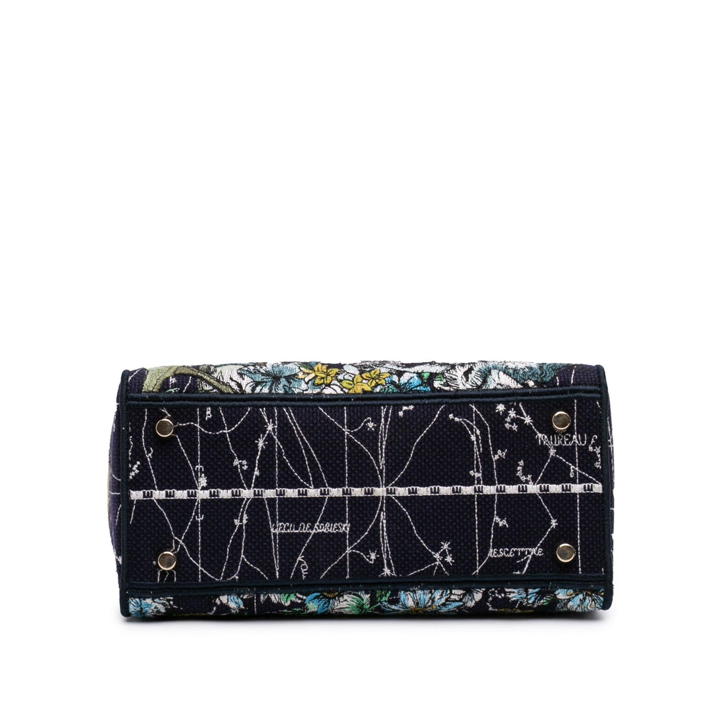 Dior Medium Embroidered Canvas Zodiac Lady D Lite