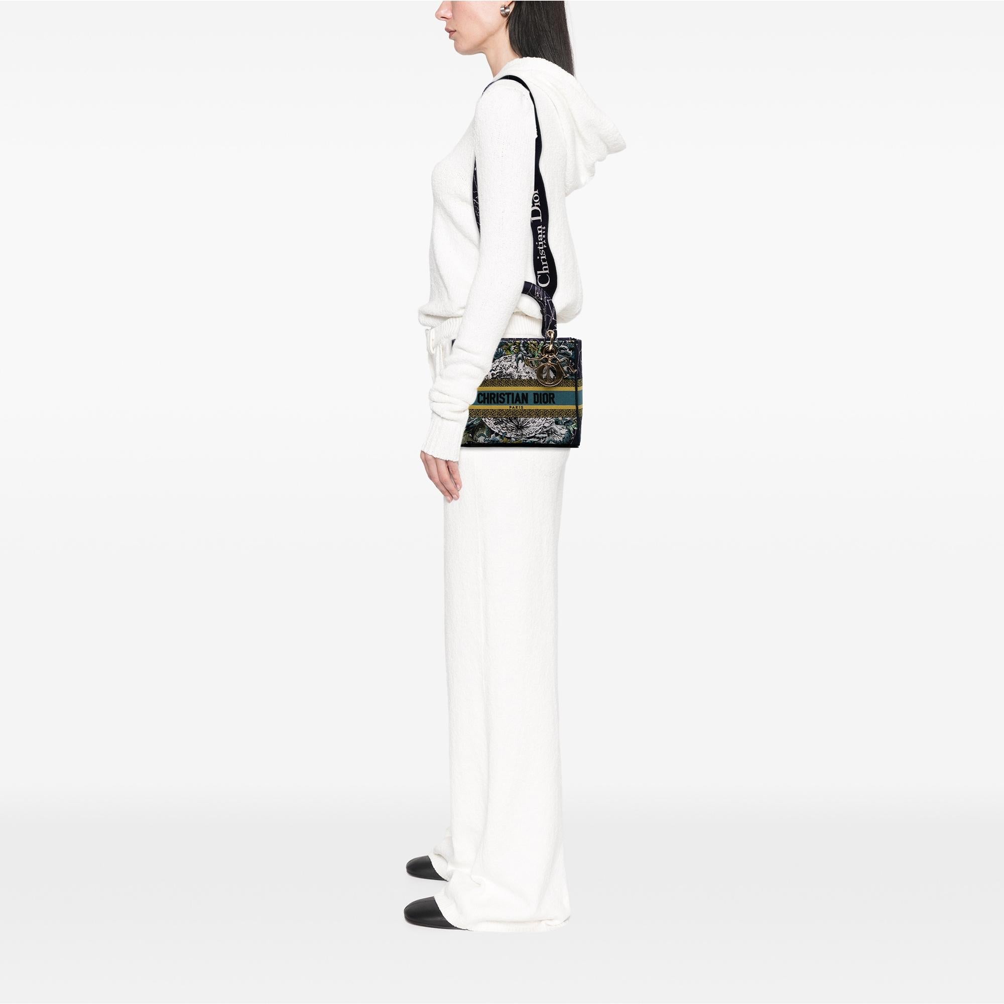 Dior Medium Embroidered Canvas Zodiac Lady D Lite