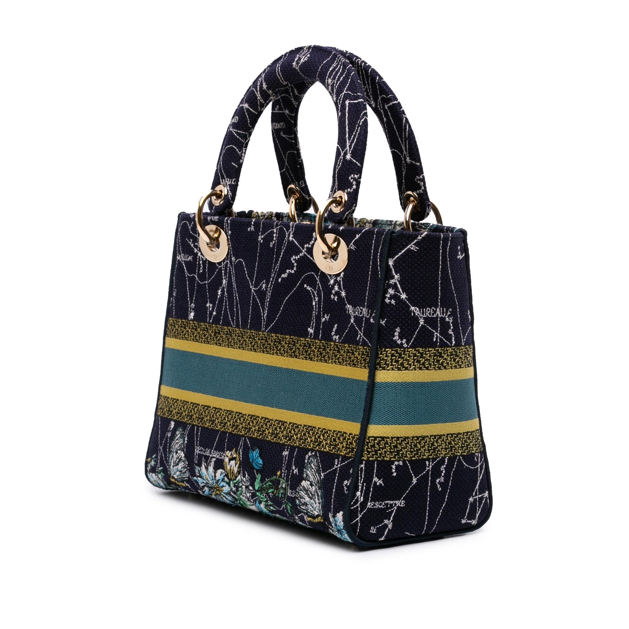 Dior Medium Embroidered Canvas Zodiac Lady D Lite