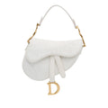 Dior Mini Oblique Saddle (SHG-F5ghi9)