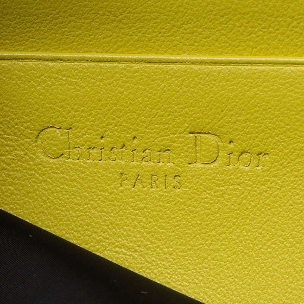 Dior Nylon Toile De Jouy DiorTravel Multifunction Crossbody