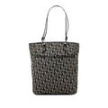 Dior Oblique Canvas Tote