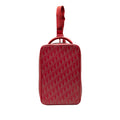 Dior Oblique Perforated Calfskin Galaxy World Tour Shoe Case