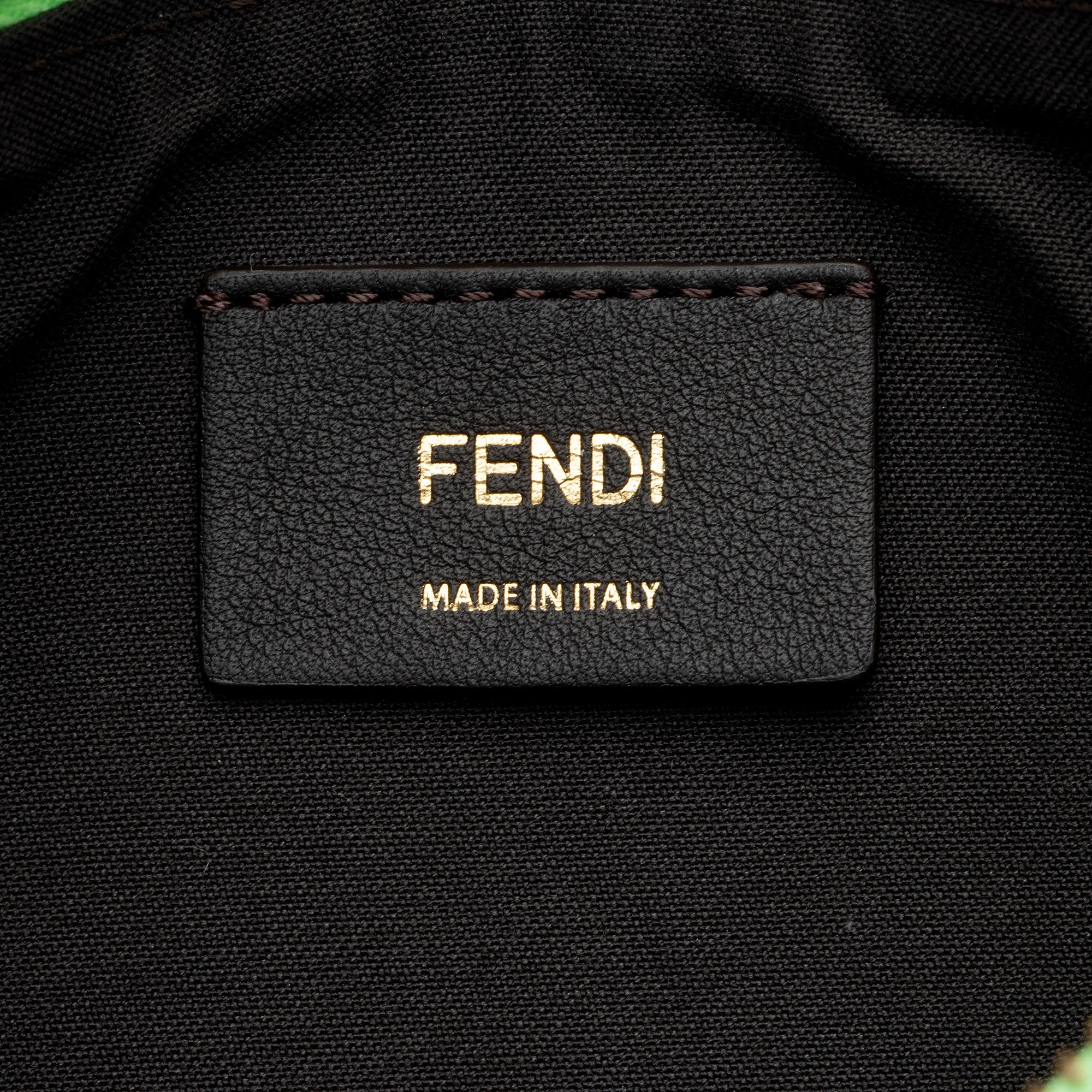 Fendi Leather Fendigraphy Small Hobo