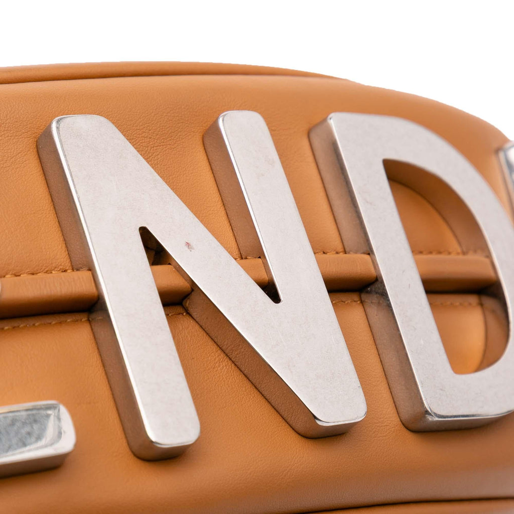 Fendi Medium Leather Fendigraphy Hobo