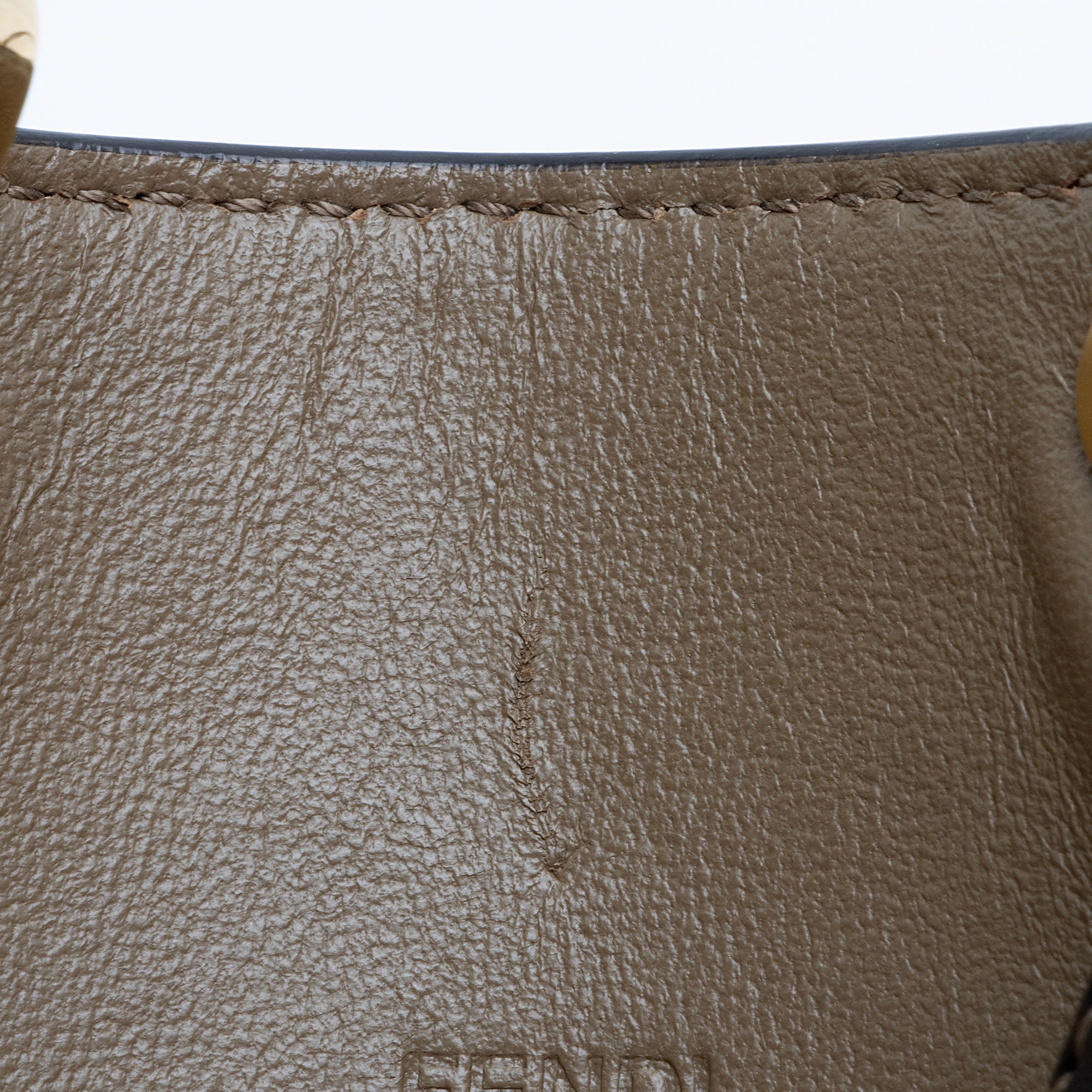 Fendi X Sara Coleman Leather Vertigo Peek A Phone Pouch (SHF-eqtLTR)