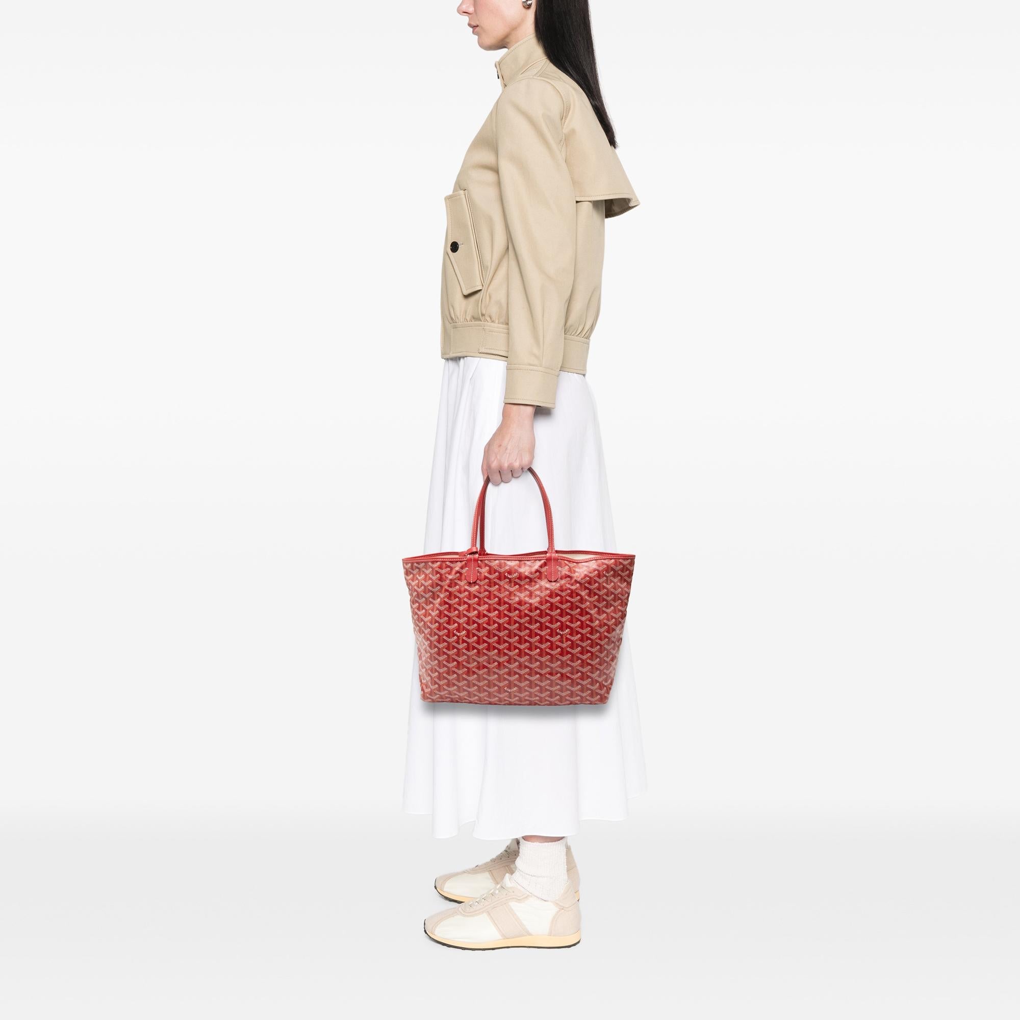 Goyard Goyardine Saint Louis PM