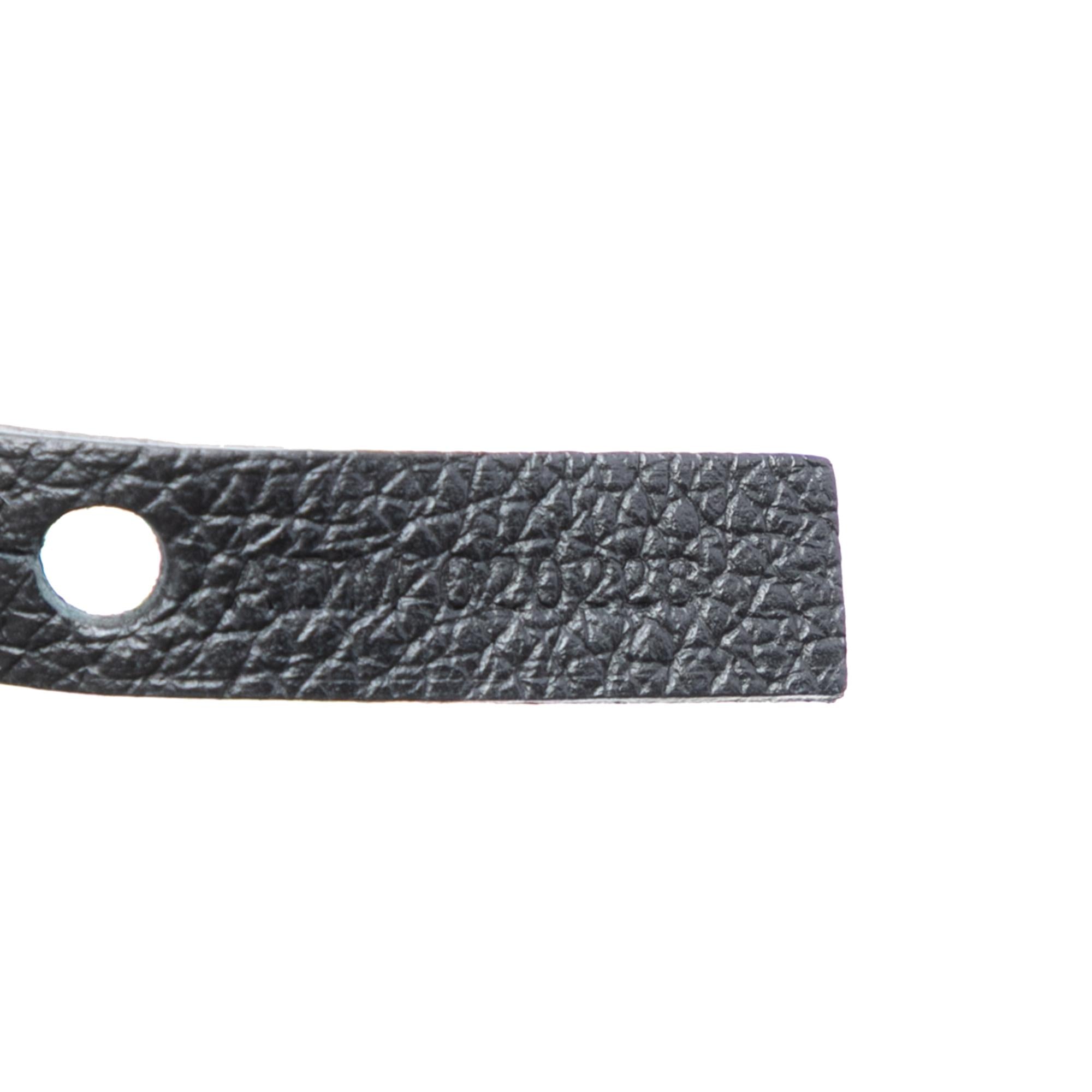 Goyard Goyardine Saint Louis PM