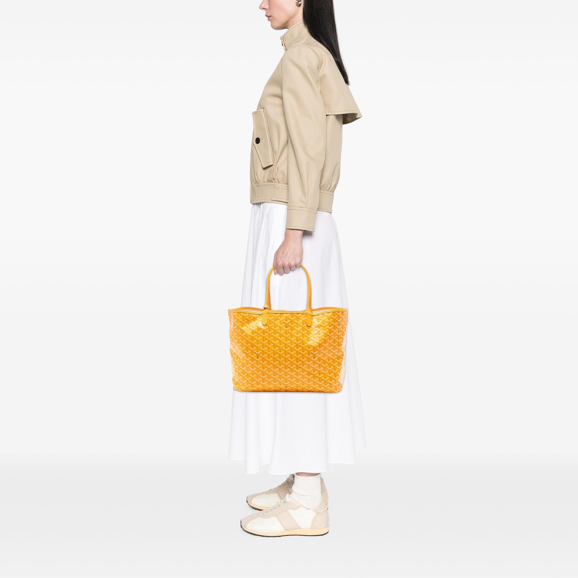 Goyard Goyardine Saint Louis PM