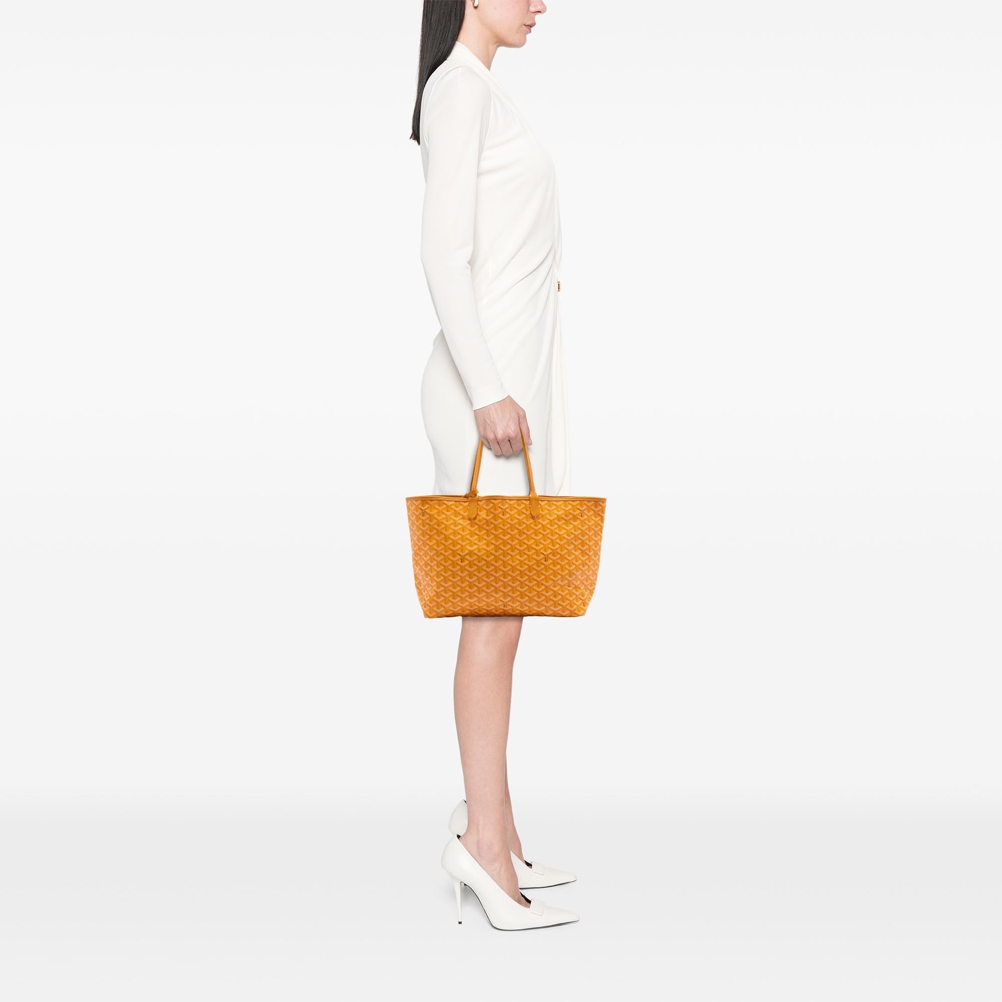 Goyard Goyardine Saint Louis PM
