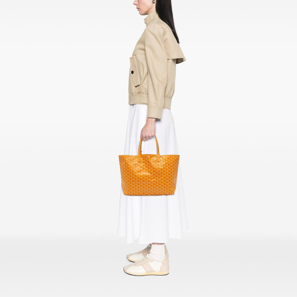 Goyard Goyardine Saint Louis PM
