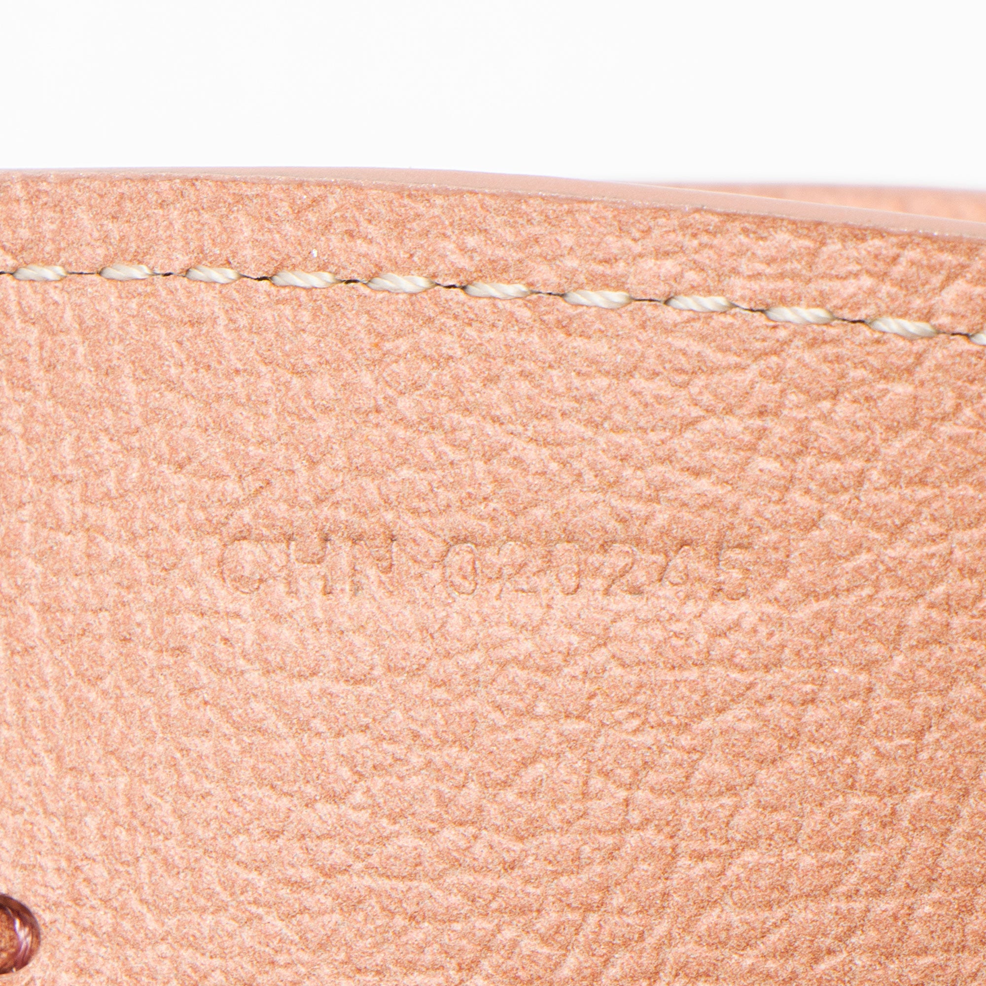 Goyard Metallic Leather Croc Universel