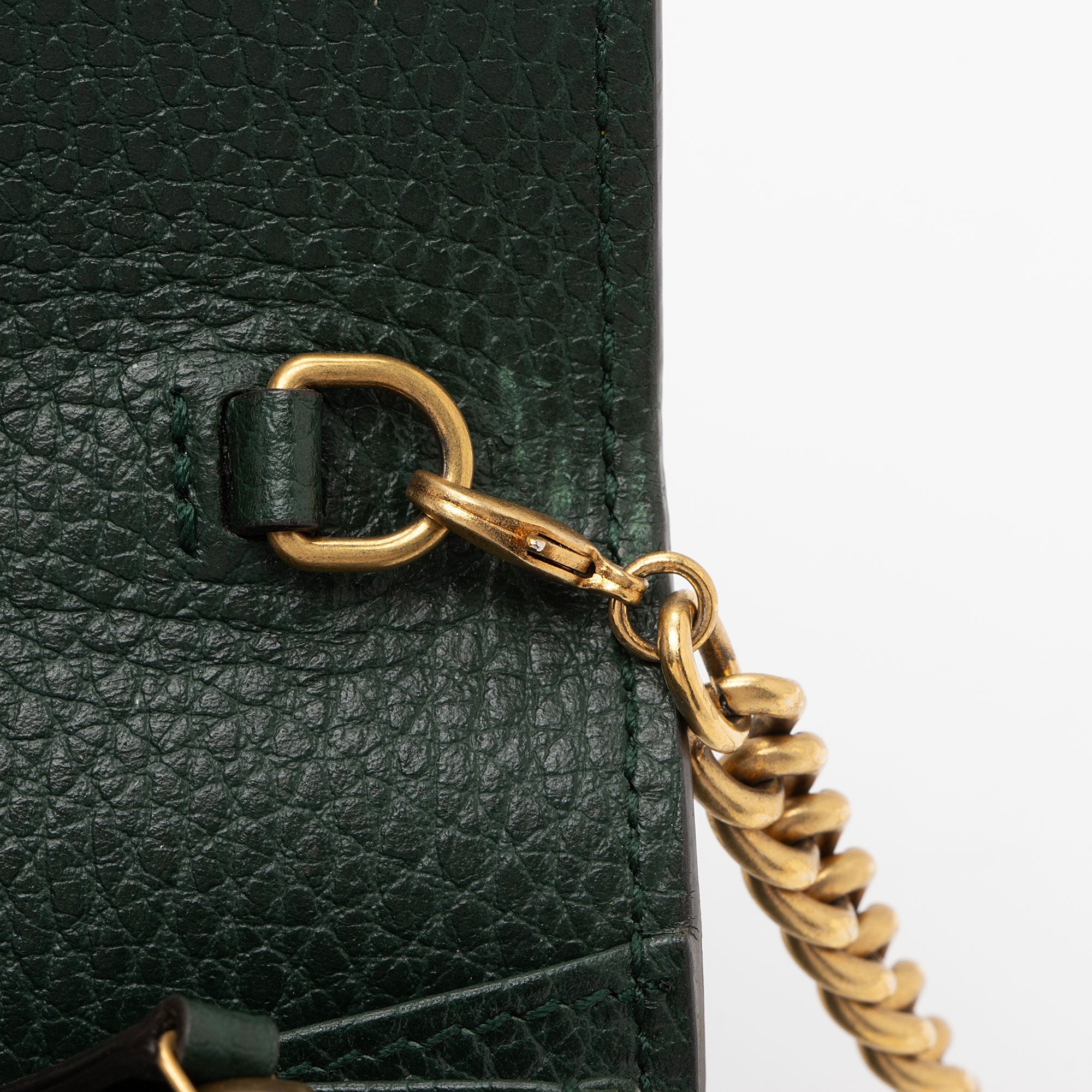 Gucci Calfskin Garden Dionysus Chain Wallet