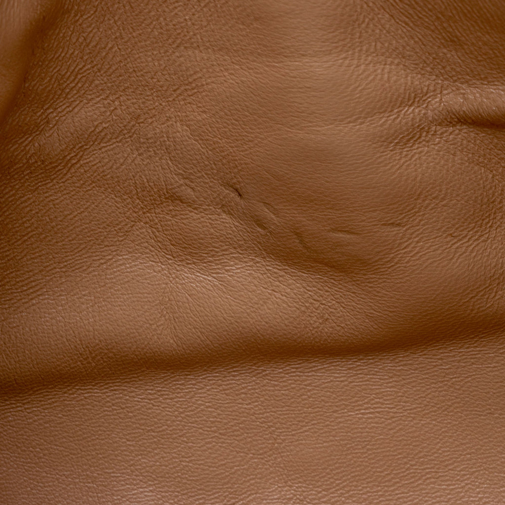 Gucci Calfskin Tiger Broadway Mini Shoulder Bag