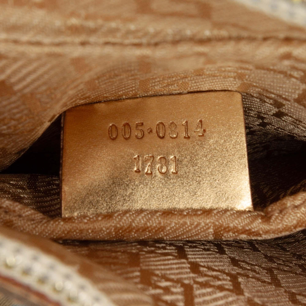 Gucci Canvas Web Hobo