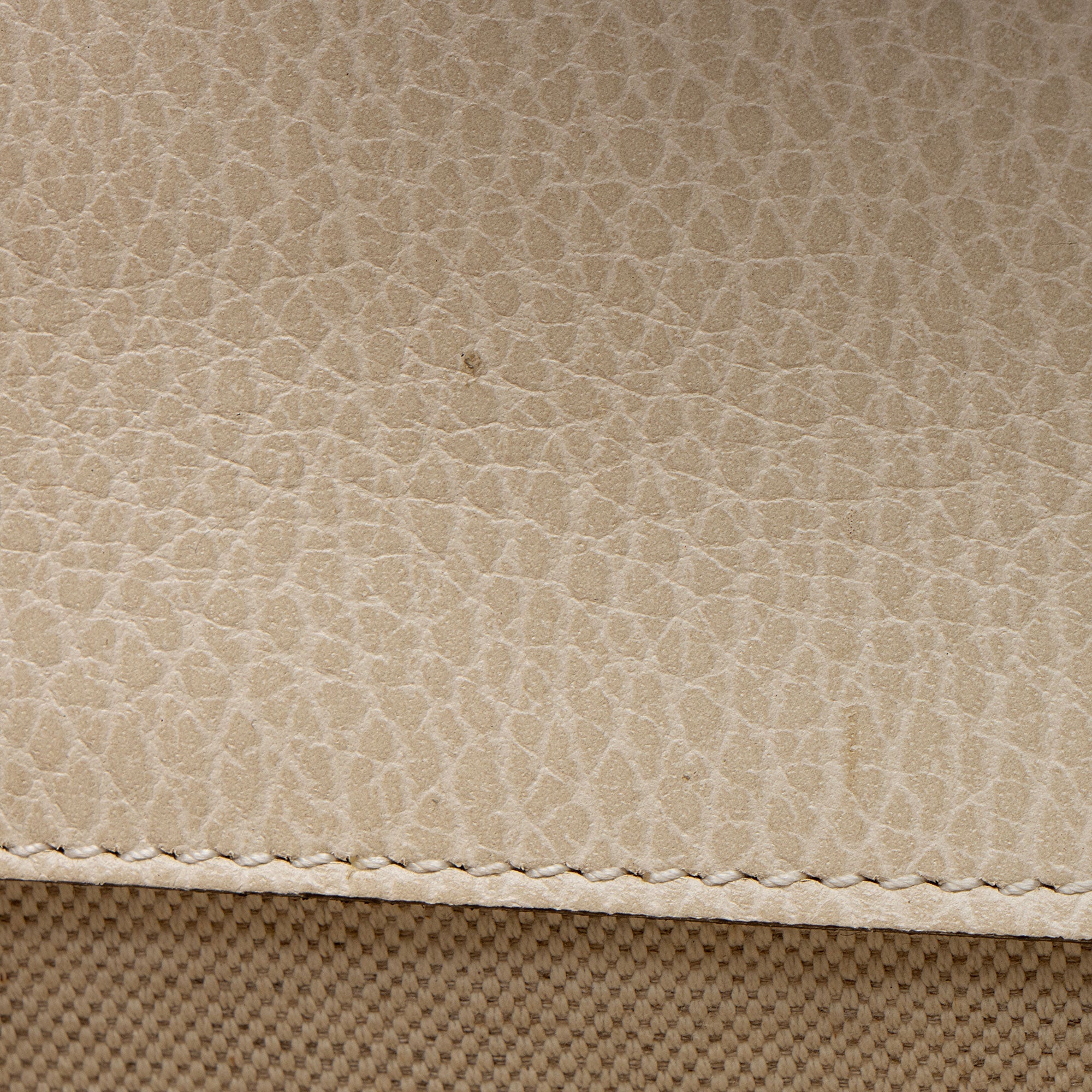 Gucci Leather Dionysus Medium E/W Shoulder Bag