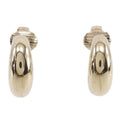 Dior Earrings