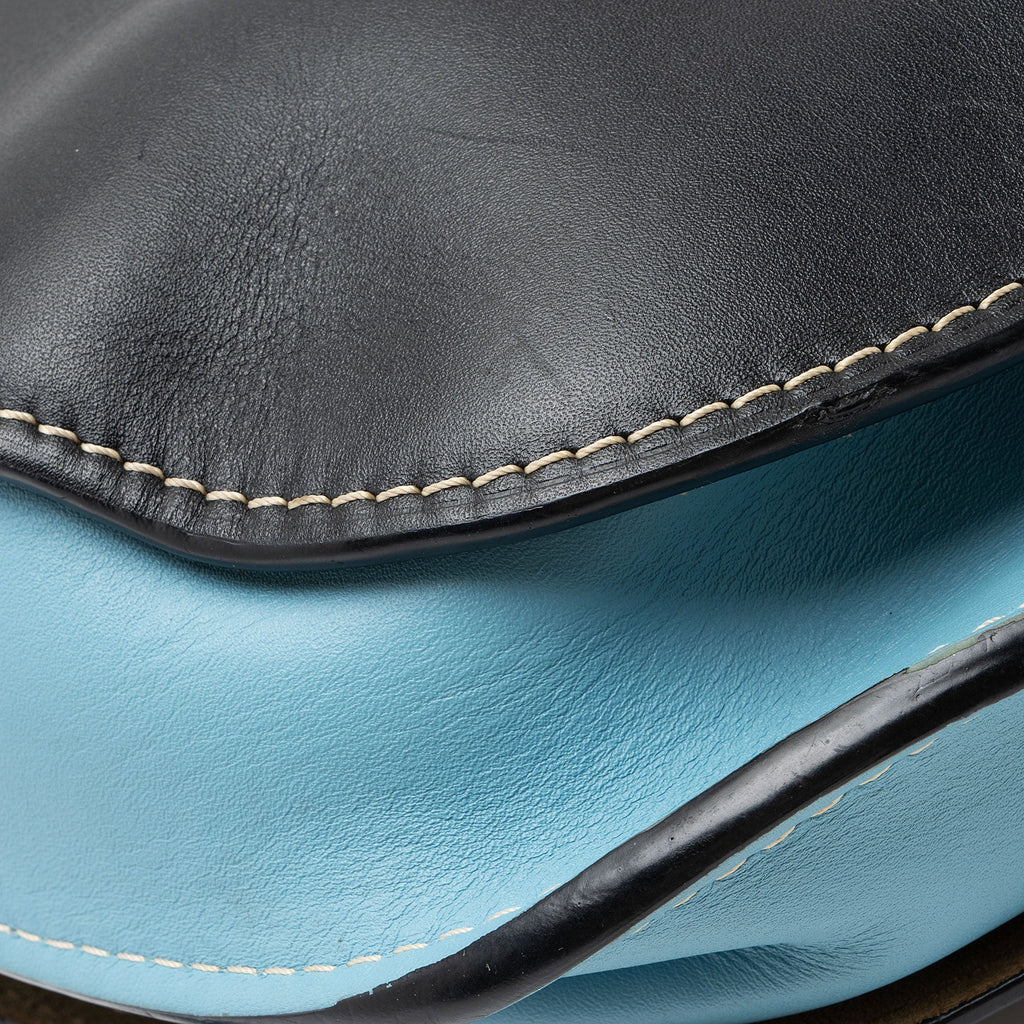 Loewe Calfskin Gate Small Crossbody