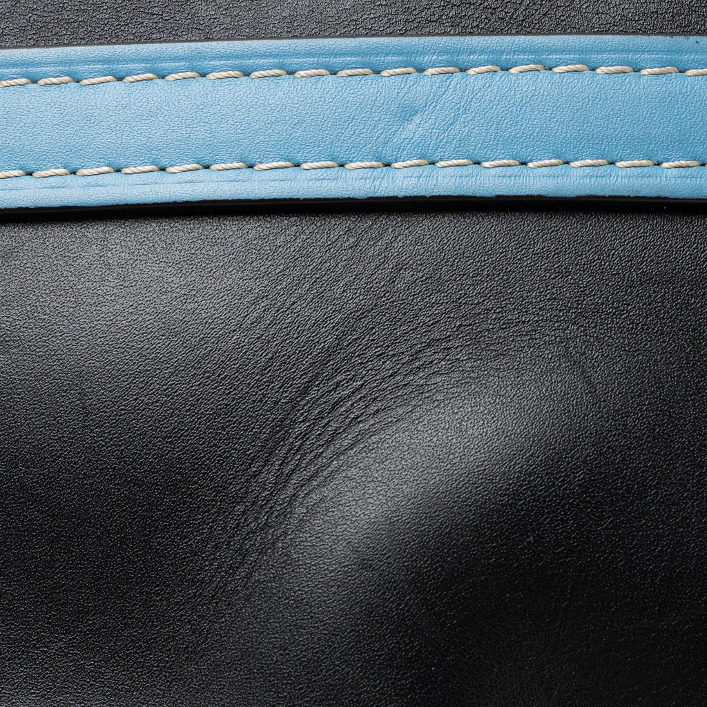 Loewe Calfskin Gate Small Crossbody