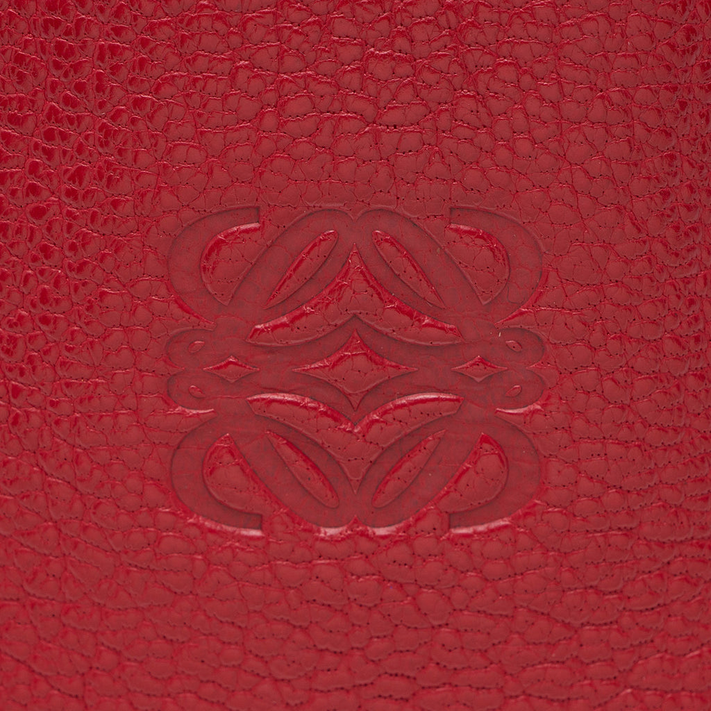 Loewe Leather Amazona 28 Satchel
