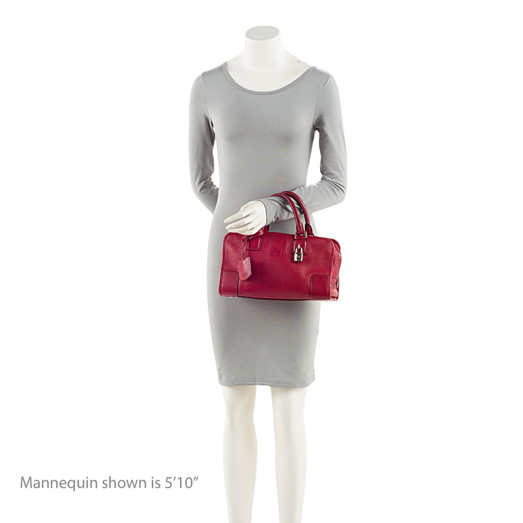 Loewe Leather Amazona 28 Satchel