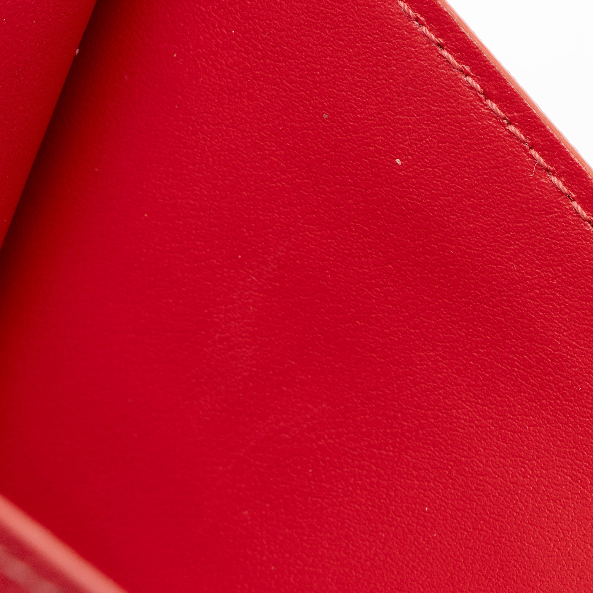 Louis Vuitton Calfskin Felicie Insert