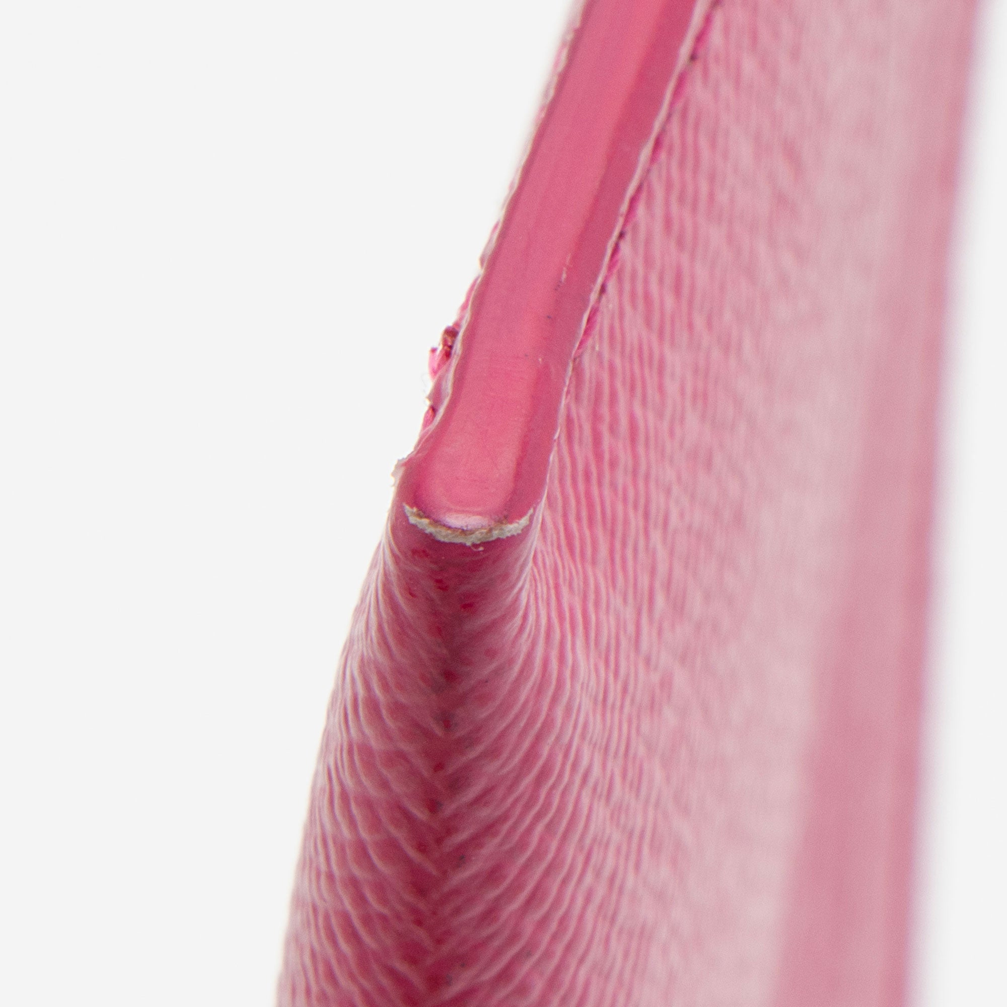 Louis Vuitton Calfskin Felicie Insert