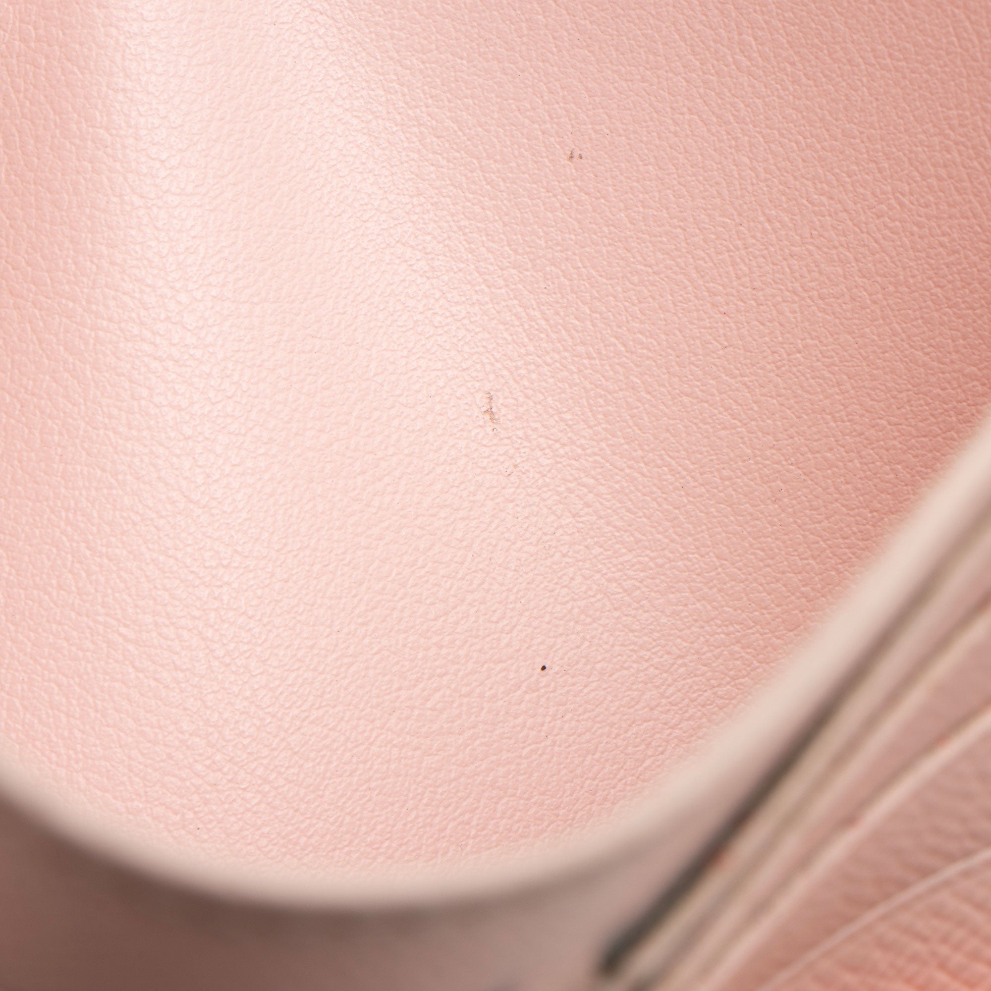 Louis Vuitton Calfskin Felicie Insert
