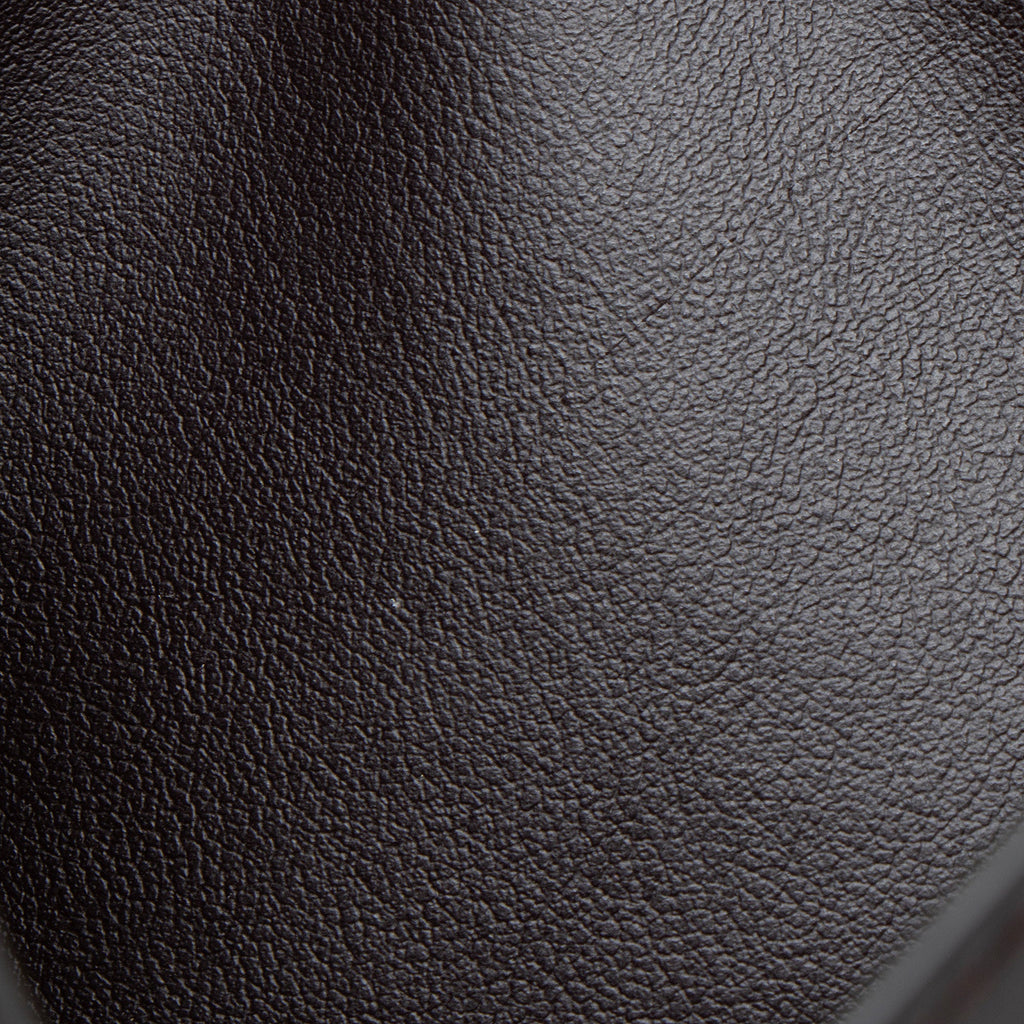 Louis Vuitton Calfskin Felicie Insert