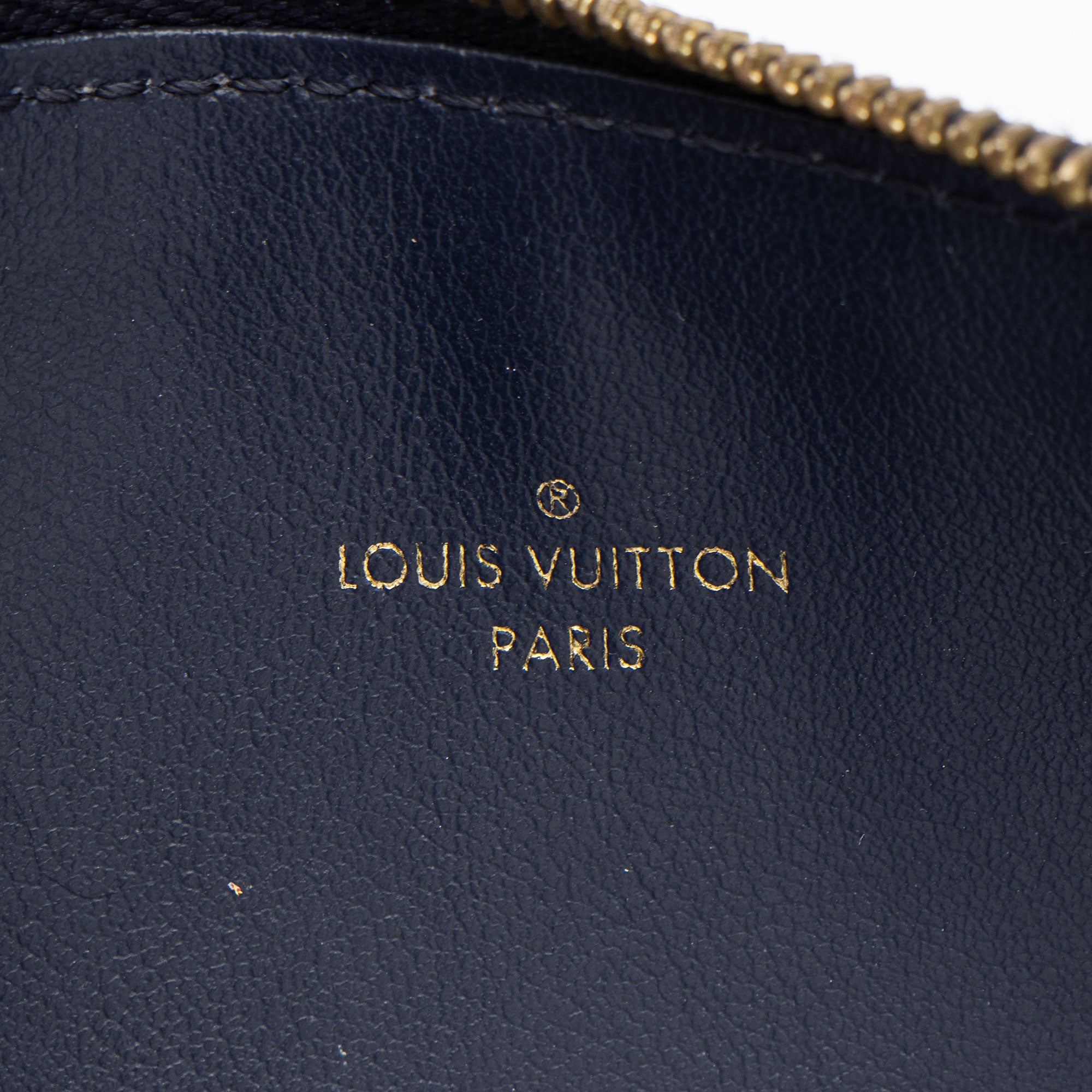 Louis Vuitton Calfskin Felicie Insert