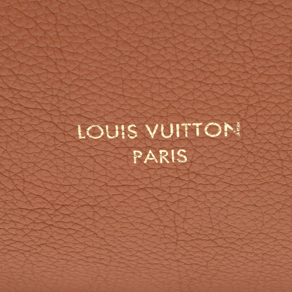 Louis Vuitton Calfskin Low Key MM Hobo