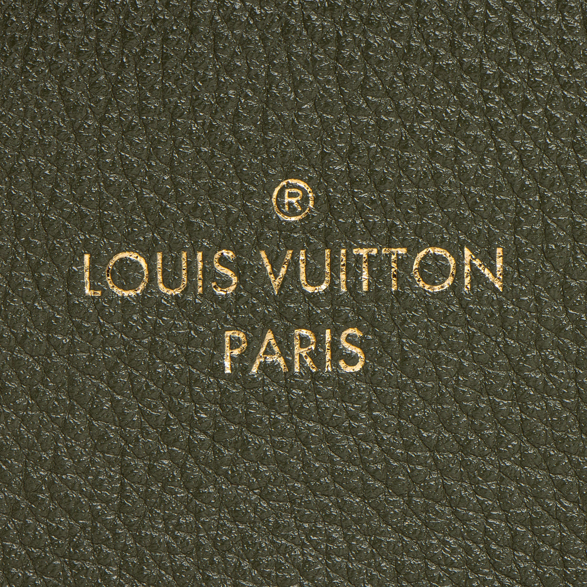 Louis Vuitton Calfskin Rose Des Vents MM Top Handle