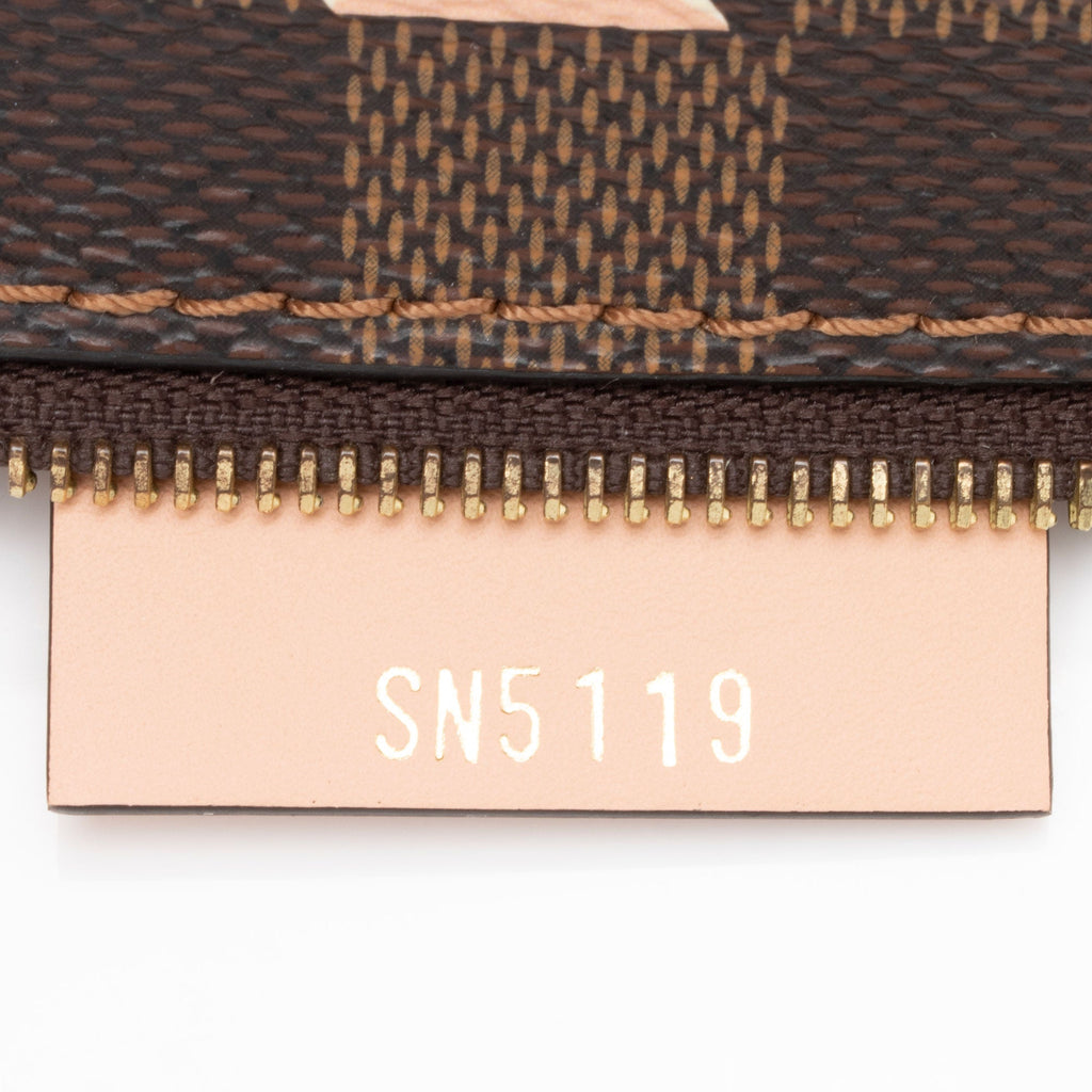 Louis Vuitton Damier Ebene Belmont PM Pochette (SHF-f1Rdoi)