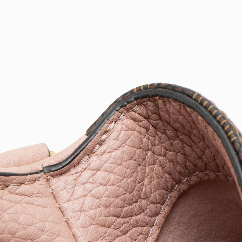 Louis Vuitton Damier Ebene Brittany Satchel