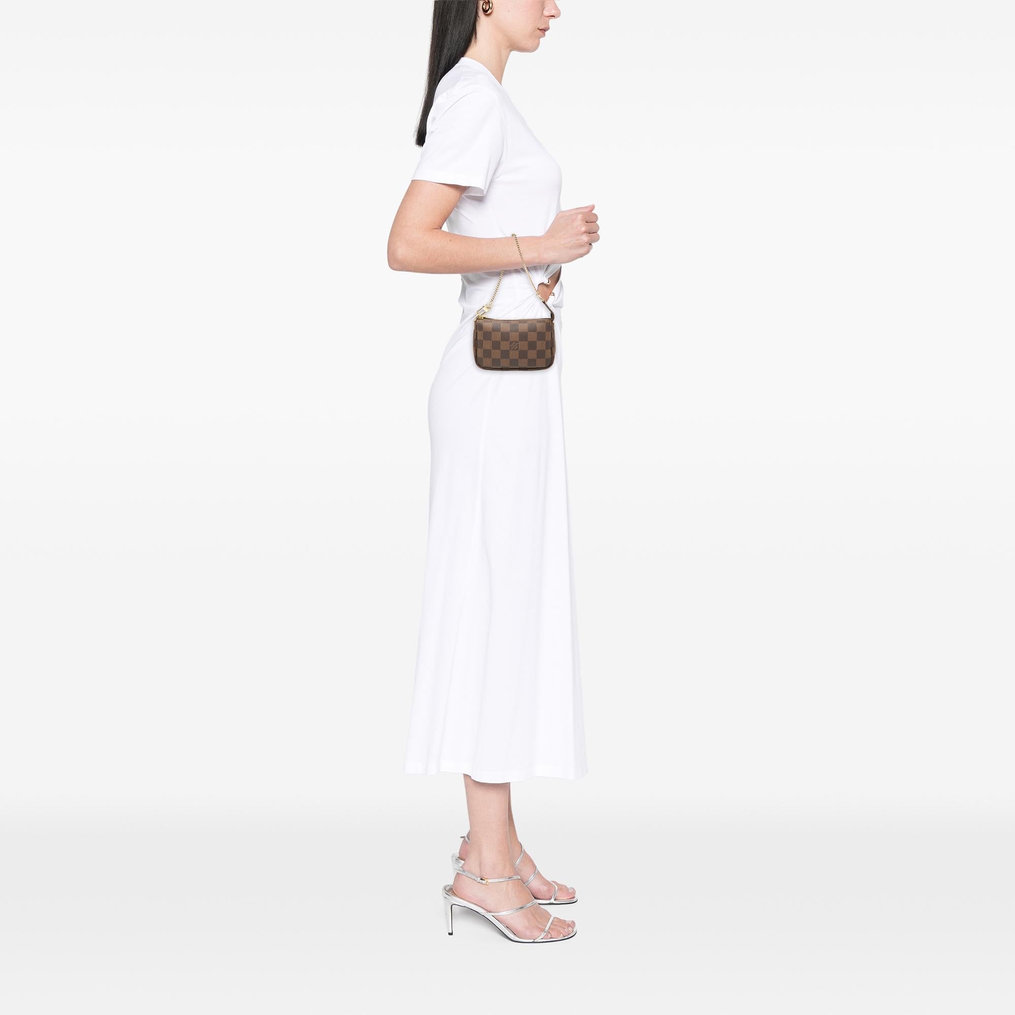 Louis Vuitton Damier Ebene Mini Pochette Accessoires