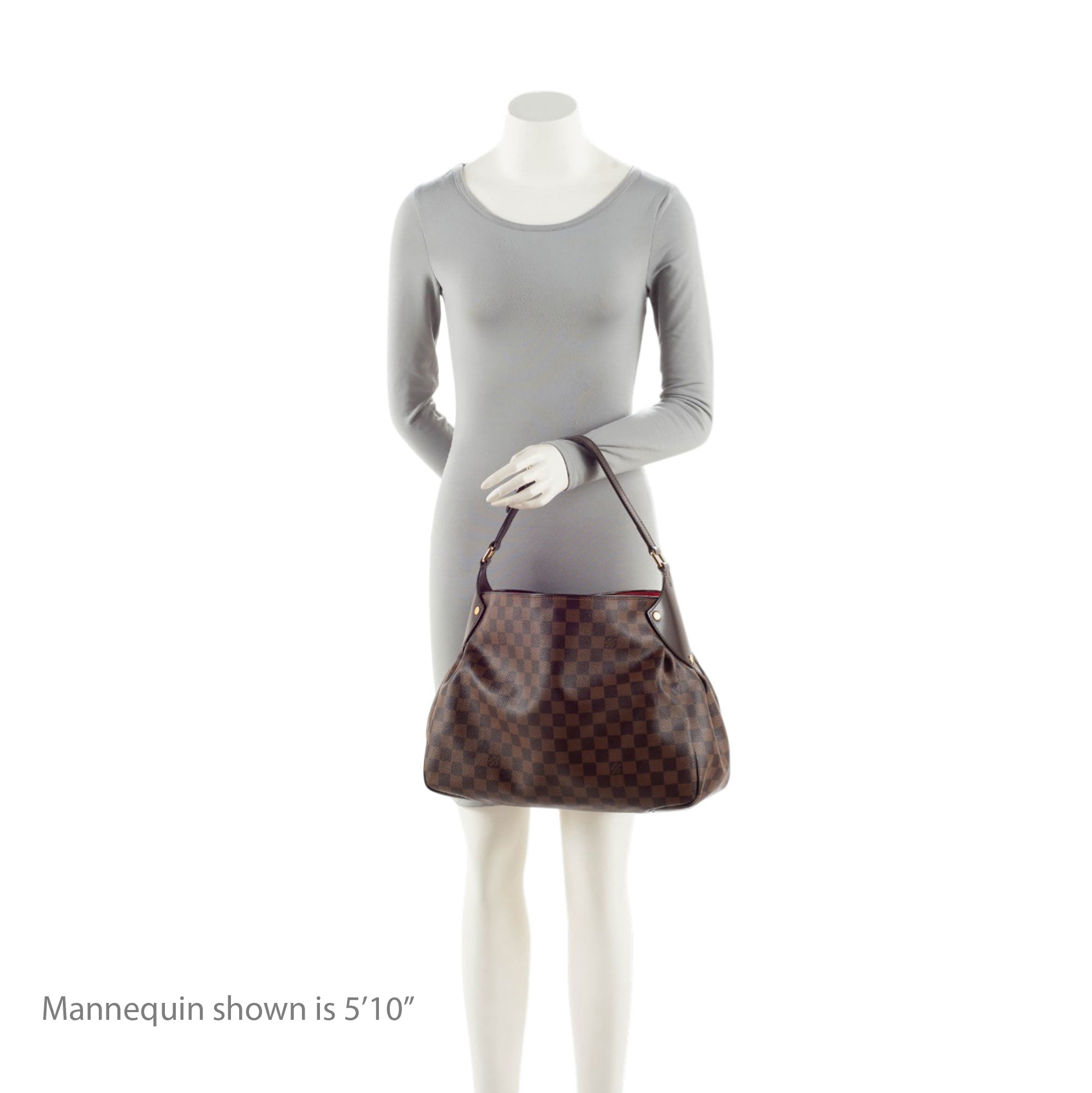 Louis Vuitton Damier Ebene Reggia Hobo