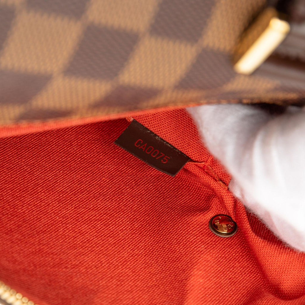 Louis Vuitton Damier Ebene Ribera MM